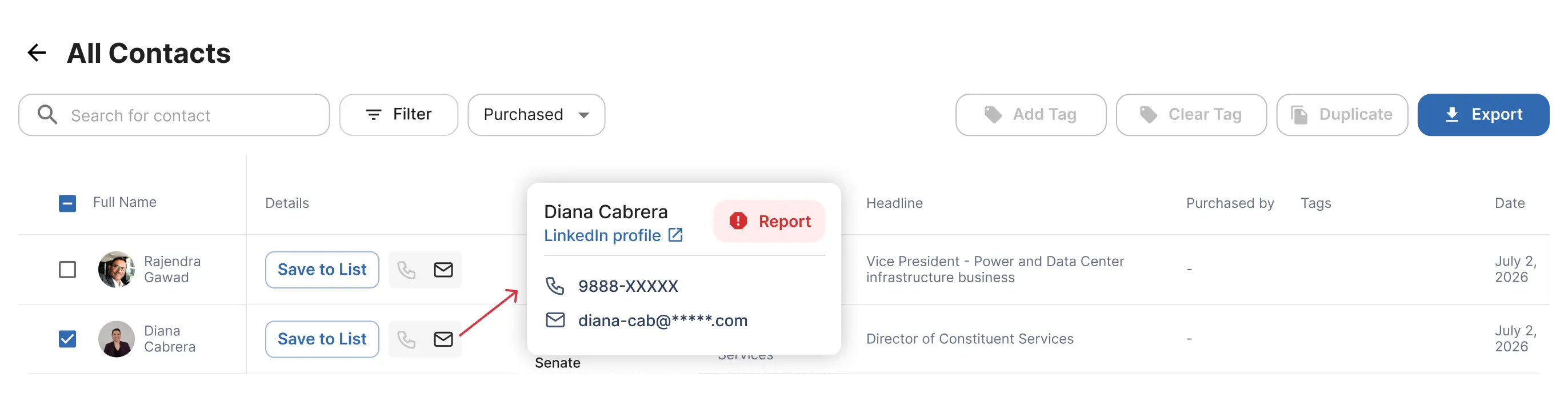 Report Flag Icon